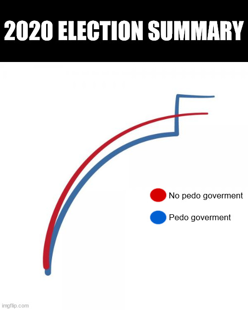 Voter Fraud 2020 | 2020 ELECTION SUMMARY; No pedo goverment; Pedo goverment | image tagged in voter fraud 2020 | made w/ Imgflip meme maker