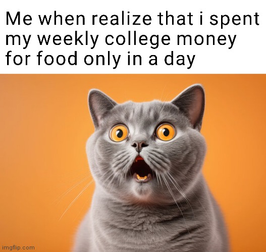 Literally me | image tagged in cats,funny,college humor,me when | made w/ Imgflip meme maker
