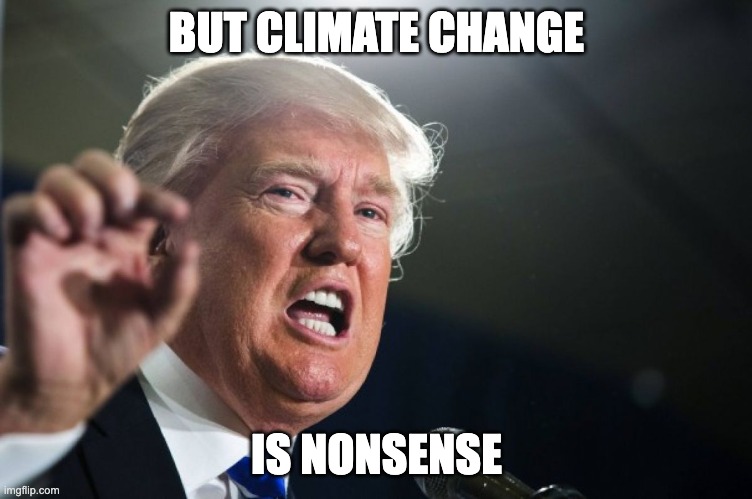 donald trump | BUT CLIMATE CHANGE IS NONSENSE | image tagged in donald trump | made w/ Imgflip meme maker