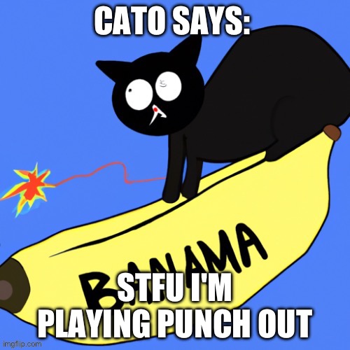 (mod note: alr) | CATO SAYS:; STFU I'M PLAYING PUNCH OUT | image tagged in cato announcement temp | made w/ Imgflip meme maker