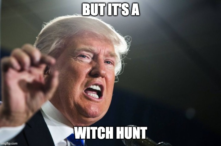 donald trump | BUT IT'S A WITCH HUNT | image tagged in donald trump | made w/ Imgflip meme maker
