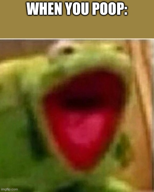 AHHHHHHHHHHHHH | WHEN YOU POOP: | image tagged in ahhhhhhhhhhhhh,kermit the frog,the muppets,muppets,muppets meme | made w/ Imgflip meme maker