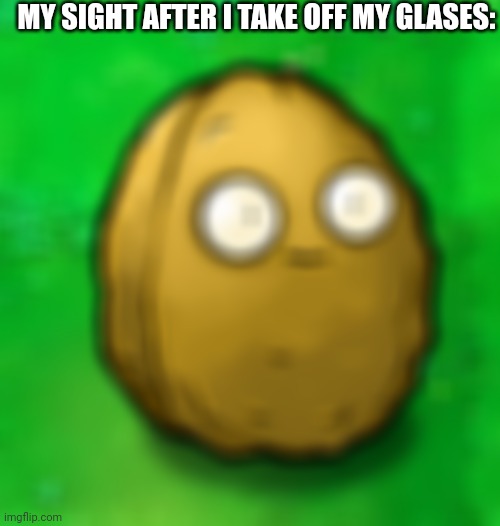 Wall-Nut | MY SIGHT AFTER I TAKE OFF MY GLASES: | image tagged in wall-nut,memes,glasses | made w/ Imgflip meme maker