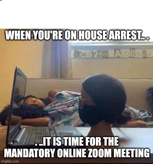 HOUSE ARREST | WHEN YOU'RE ON HOUSE ARREST.. . . ..IT IS TIME FOR THE MANDATORY ONLINE ZOOM MEETING | image tagged in decoy,drugs,arrested,black lives matter | made w/ Imgflip meme maker