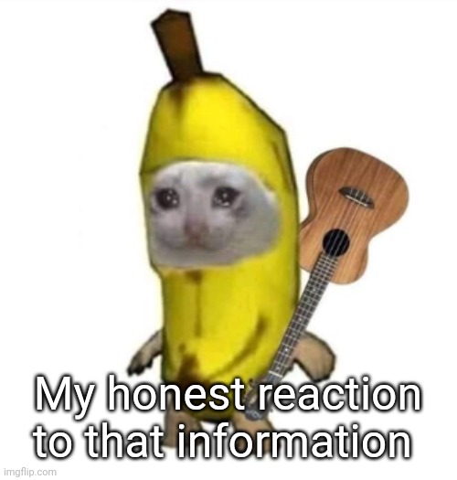 Pretty honest | My honest reaction to that information | image tagged in banan | made w/ Imgflip meme maker