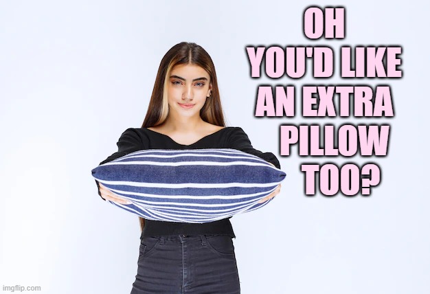 OH YOU'D LIKE AN EXTRA    PILLOW      TOO? | made w/ Imgflip meme maker