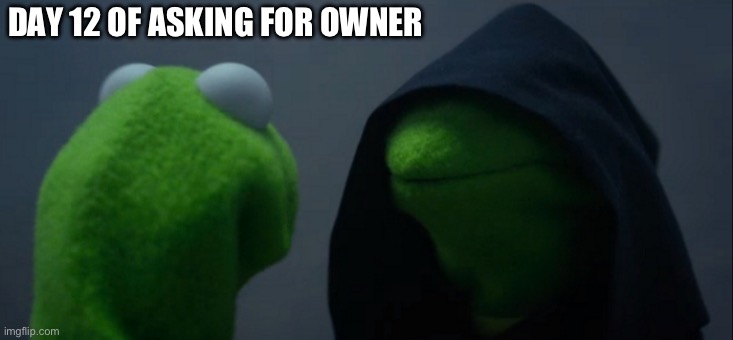 Evil Kermit | DAY 12 OF ASKING FOR OWNER | image tagged in memes,evil kermit | made w/ Imgflip meme maker
