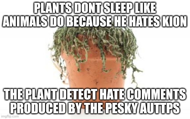 dead plant | PLANTS DONT SLEEP LIKE ANIMALS DO BECAUSE HE HATES KION; THE PLANT DETECT HATE COMMENTS PRODUCED BY THE PESKY AUTTPS | image tagged in dead plant | made w/ Imgflip meme maker