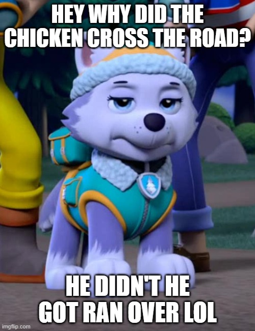 POV: you here a bad joke | HEY WHY DID THE CHICKEN CROSS THE ROAD? HE DIDN'T HE GOT RAN OVER LOL | image tagged in bad day everest paw patrol | made w/ Imgflip meme maker