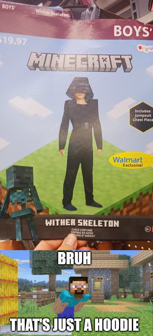 IT SHOULD BE A BOX FOR THE HEAD | BRUH; THAT'S JUST A HOODIE | image tagged in steve looking at screen,halloween,halloween costume,minecraft,minecraft memes,gaming | made w/ Imgflip meme maker