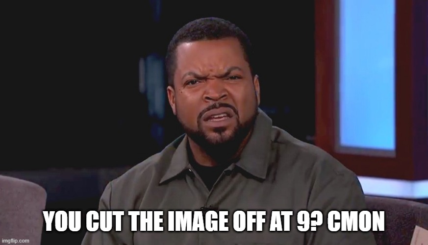 Really? Ice Cube | YOU CUT THE IMAGE OFF AT 9? CMON | image tagged in really ice cube | made w/ Imgflip meme maker