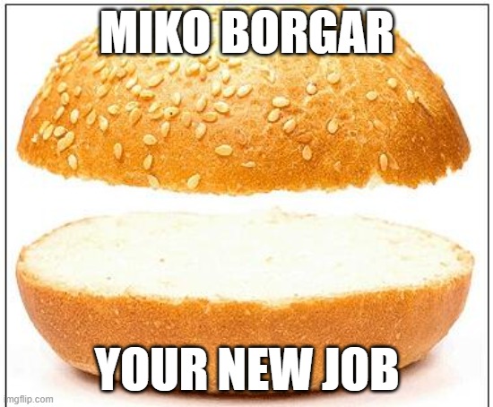 Nothing burger.mp3 | MIKO BORGAR; YOUR NEW JOB | image tagged in nothing burger | made w/ Imgflip meme maker