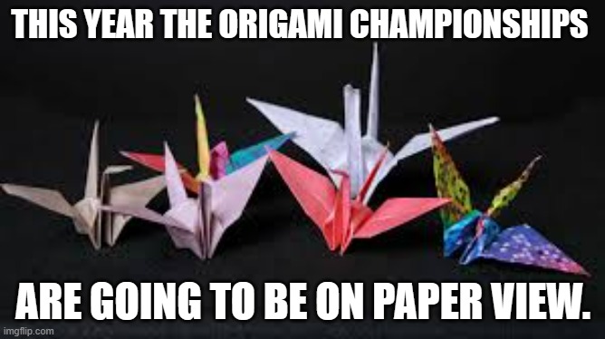 meme by Brad Origami Championships | THIS YEAR THE ORIGAMI CHAMPIONSHIPS; ARE GOING TO BE ON PAPER VIEW. | image tagged in funny memes | made w/ Imgflip meme maker