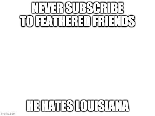 NEVER SUBSCRIBE TO FEATHERED FRIENDS; HE HATES LOUISIANA | image tagged in youtube | made w/ Imgflip meme maker