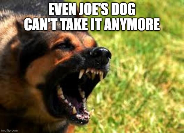 Evil German Shepherd from Hell | EVEN JOE'S DOG CAN'T TAKE IT ANYMORE | image tagged in evil german shepherd from hell | made w/ Imgflip meme maker