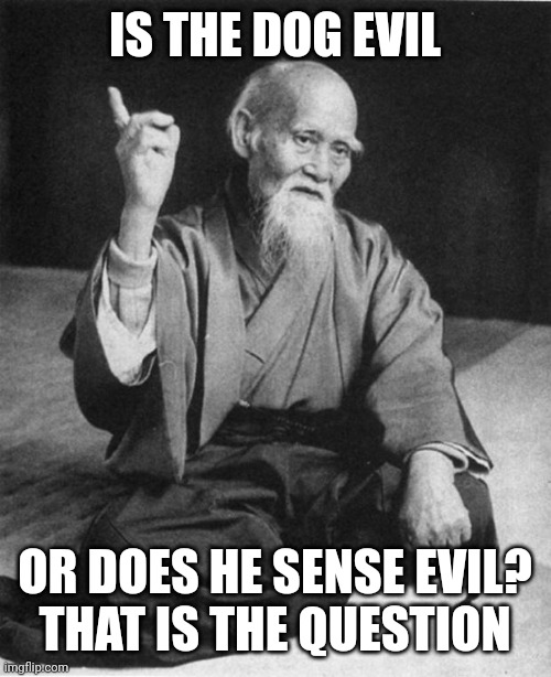 Wise Master | IS THE DOG EVIL OR DOES HE SENSE EVIL?
THAT IS THE QUESTION | image tagged in wise master | made w/ Imgflip meme maker