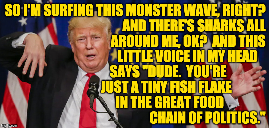 Deep thoughts by surfer dude. | image tagged in memes,sharks,surfer dude trump | made w/ Imgflip meme maker
