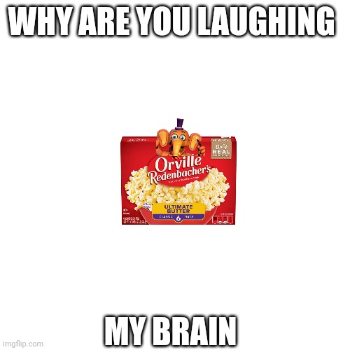 Why are you laughing | WHY ARE YOU LAUGHING; MY BRAIN | image tagged in oh wow are you actually reading these tags,stop reading the tags,you have been eternally cursed for reading the tags | made w/ Imgflip meme maker