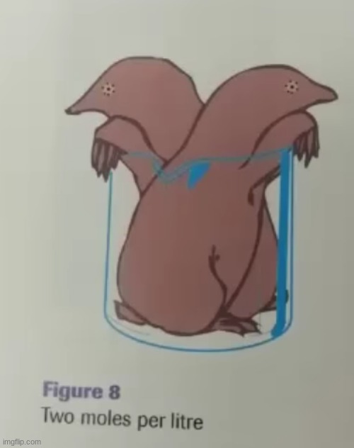 two moles per liter | image tagged in meme | made w/ Imgflip meme maker