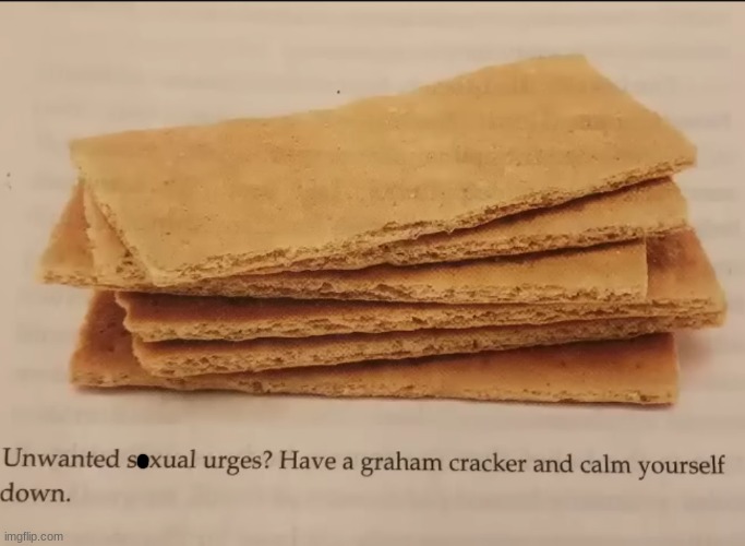 graham cracker | image tagged in graham cracker | made w/ Imgflip meme maker