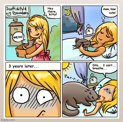One could say that this cat gives off too much love | made w/ Imgflip meme maker