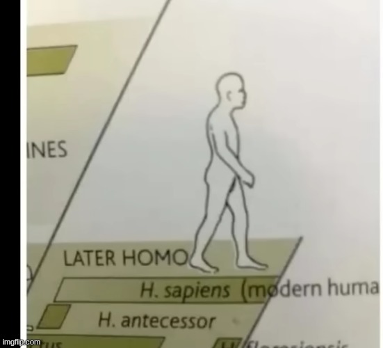 LATER HOMO | image tagged in ha ha tags go brr | made w/ Imgflip meme maker
