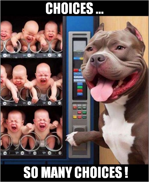Dog Wants A Baby ! | CHOICES ... SO MANY CHOICES ! | image tagged in vending machine,babies,dog,dark humour | made w/ Imgflip meme maker