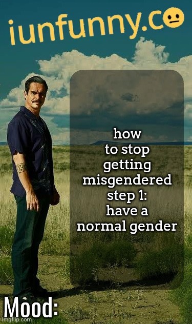 people be having the weirdest genders and get mad when you dont know it | how to stop getting misgendered
step 1: have a normal gender | image tagged in iunfunny's lalo salamanca template | made w/ Imgflip meme maker