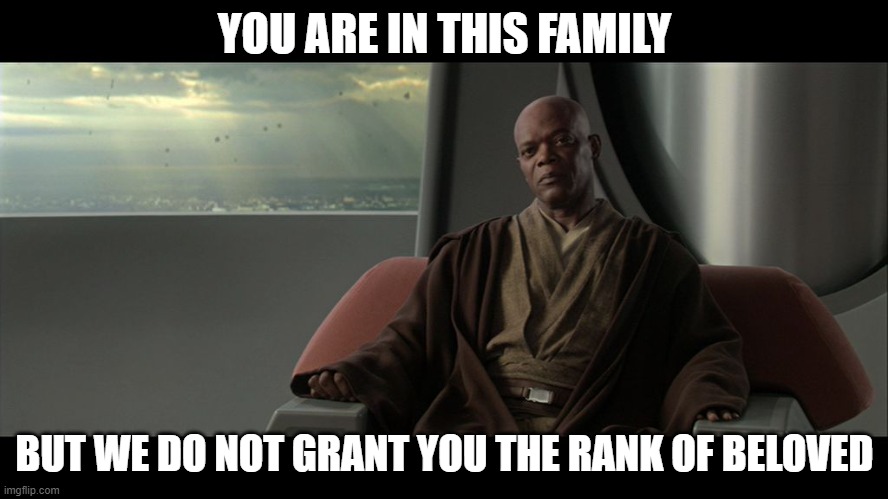 when you dont believe in what they believe in | YOU ARE IN THIS FAMILY; BUT WE DO NOT GRANT YOU THE RANK OF BELOVED | image tagged in you are on this council but we do not grant you the rank of mast | made w/ Imgflip meme maker
