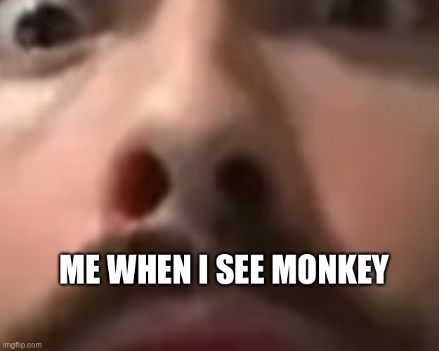 Close up moist | ME WHEN I SEE MONKEY | image tagged in close up moist | made w/ Imgflip meme maker