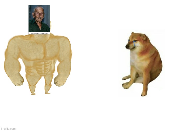 Buff Doge vs. Cheems | image tagged in memes,buff doge vs cheems | made w/ Imgflip meme maker