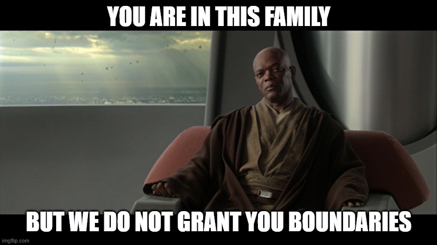 parents amirite? | YOU ARE IN THIS FAMILY; BUT WE DO NOT GRANT YOU BOUNDARIES | image tagged in you are on this council but we do not grant you the rank of mast | made w/ Imgflip meme maker