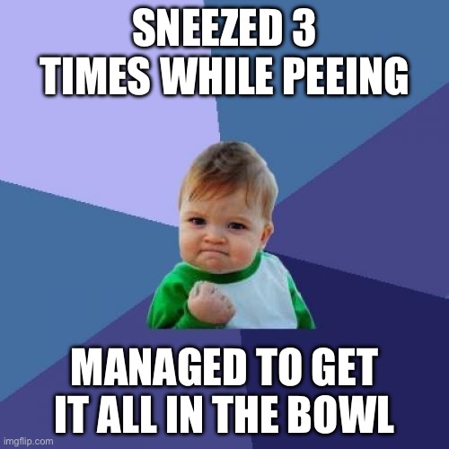 Only boys will understand | SNEEZED 3 TIMES WHILE PEEING; MANAGED TO GET IT ALL IN THE BOWL | image tagged in memes,success kid | made w/ Imgflip meme maker