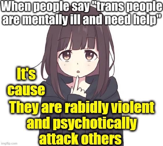 Judge People by What They Do! | It's 
cause; They are rabidly violent
and psychotically
attack others | image tagged in vince vance,transgender,trans,people,gender identity,mentally ill | made w/ Imgflip meme maker