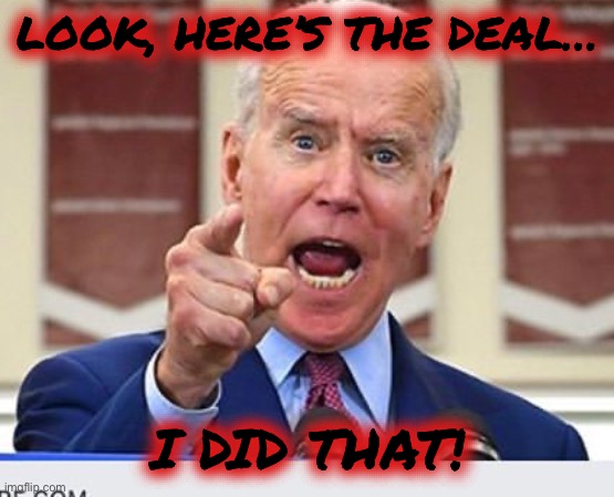 Joe Biden no malarkey | LOOK, HERE’S THE DEAL… I DID THAT! | image tagged in joe biden no malarkey | made w/ Imgflip meme maker