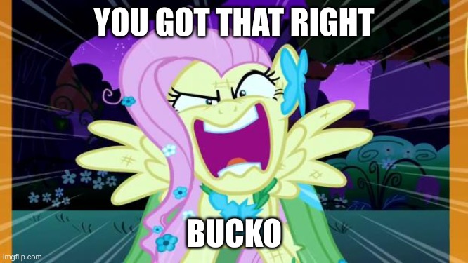 Fluttershy love | YOU GOT THAT RIGHT BUCKO | image tagged in fluttershy love | made w/ Imgflip meme maker