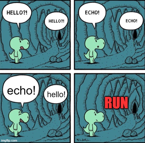 echo | echo! RUN; hello! | image tagged in echo | made w/ Imgflip meme maker