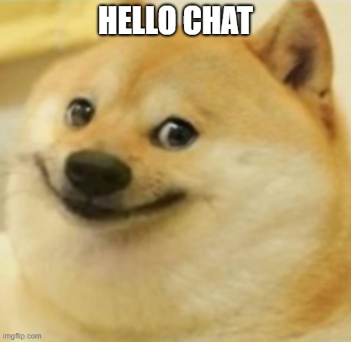 Smile Doge (Cropped) | HELLO CHAT | image tagged in smile doge cropped | made w/ Imgflip meme maker