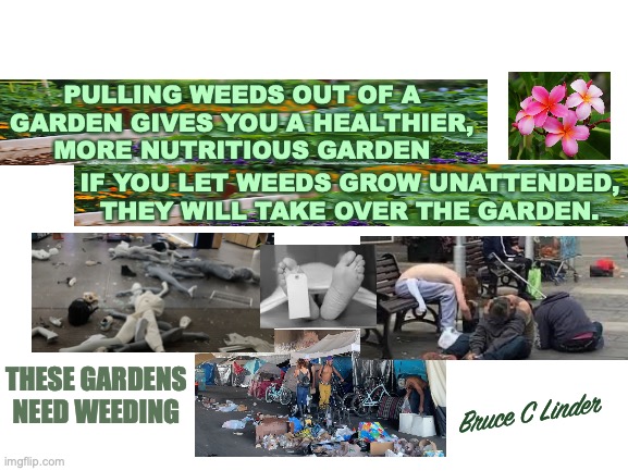 Gardeners Needed | PULLING WEEDS OUT OF A
GARDEN GIVES YOU A HEALTHIER,
MORE NUTRITIOUS GARDEN; IF YOU LET WEEDS GROW UNATTENDED,
THEY WILL TAKE OVER THE GARDEN. THESE GARDENS
NEED WEEDING; Bruce C Linder | image tagged in proper cultivation,healthy gardening,healthy gardens,weeds,parasites,pulling weeds | made w/ Imgflip meme maker