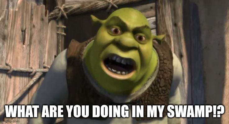 Shrek What are you doing in my swamp? | WHAT ARE YOU DOING IN MY SWAMP!? | image tagged in shrek what are you doing in my swamp | made w/ Imgflip meme maker