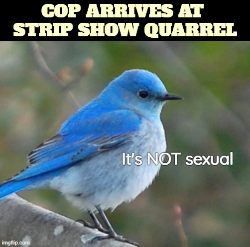 COP ARRIVES AT 
STRIP SHOW QUARREL; It's NOT sexual | image tagged in funny | made w/ Imgflip meme maker