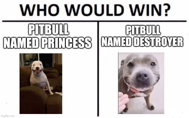 The question only the Internet can answer | PITBULL NAMED PRINCESS; PITBULL NAMED DESTROYER | image tagged in memes,who would win,pitbull | made w/ Imgflip meme maker