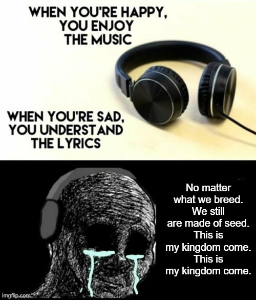 I hope you guys remember the nostalgic days. | No matter what we breed.
We still are made of seed.
This is my kingdom come.
This is my kingdom come. | image tagged in when your sad you understand the lyrics,memes,funny,imagine dragons | made w/ Imgflip meme maker