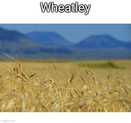 If you remove ley, he just becomes a wheat ☠️☠️☠️☠️☠️☠️☠️ | Wheatley | made w/ Imgflip meme maker