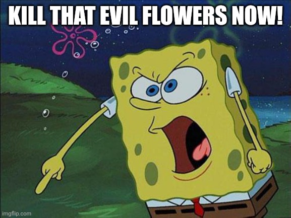 spongebob | KILL THAT EVIL FLOWERS NOW! | image tagged in spongebob | made w/ Imgflip meme maker
