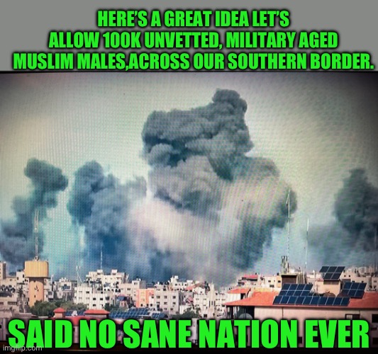 Nope really bad idea | HERE’S A GREAT IDEA LET’S ALLOW 100K UNVETTED, MILITARY AGED MUSLIM MALES,ACROSS OUR SOUTHERN BORDER. SAID NO SANE NATION EVER | image tagged in democrats | made w/ Imgflip meme maker