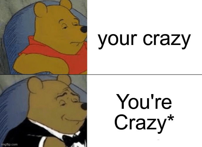 that one guy | your crazy; You're Crazy* | image tagged in memes,tuxedo winnie the pooh | made w/ Imgflip meme maker