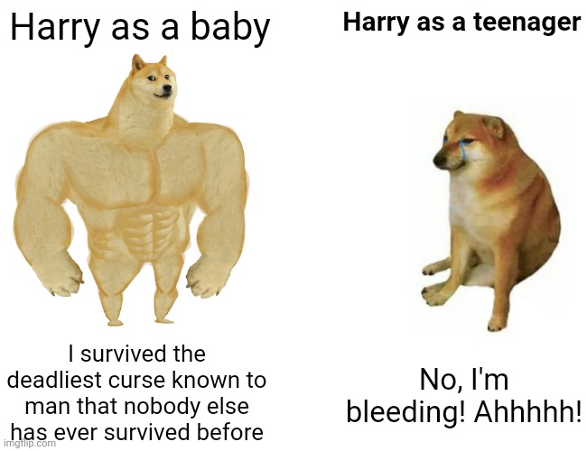 He actually got weaker not stronger | Harry as a baby; Harry as a teenager; I survived the deadliest curse known to man that nobody else has ever survived before; No, I'm bleeding! Ahhhhh! | image tagged in memes,buff doge vs cheems | made w/ Imgflip meme maker