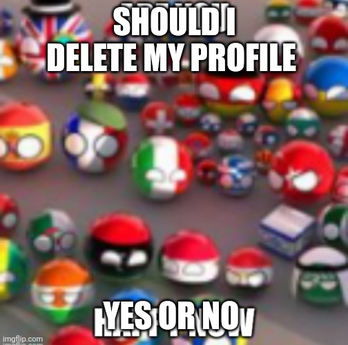 Countryballs | SHOULD I DELETE MY PROFILE; YES OR NO | image tagged in countryballs | made w/ Imgflip meme maker