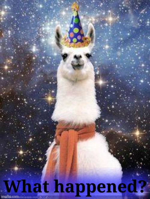 Drama Llama Birthday | What happened? | image tagged in drama llama birthday | made w/ Imgflip meme maker